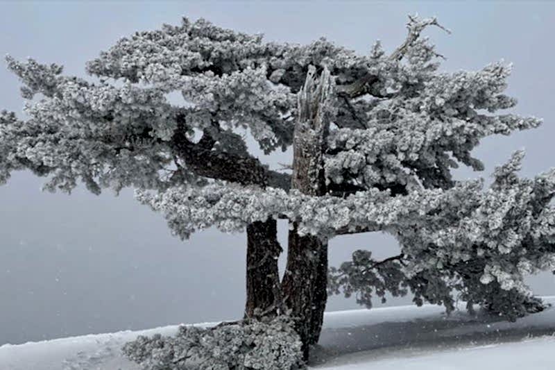 ÇANAKKALE ŞEHİTLERİNİ ANMA TIRMANIŞI