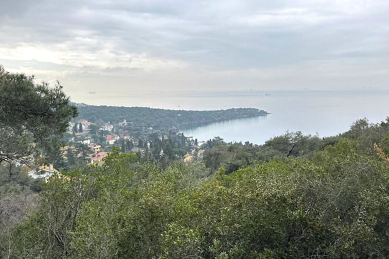 BÜYÜKADA SPORTİF DOĞA YÜRÜYÜŞÜ