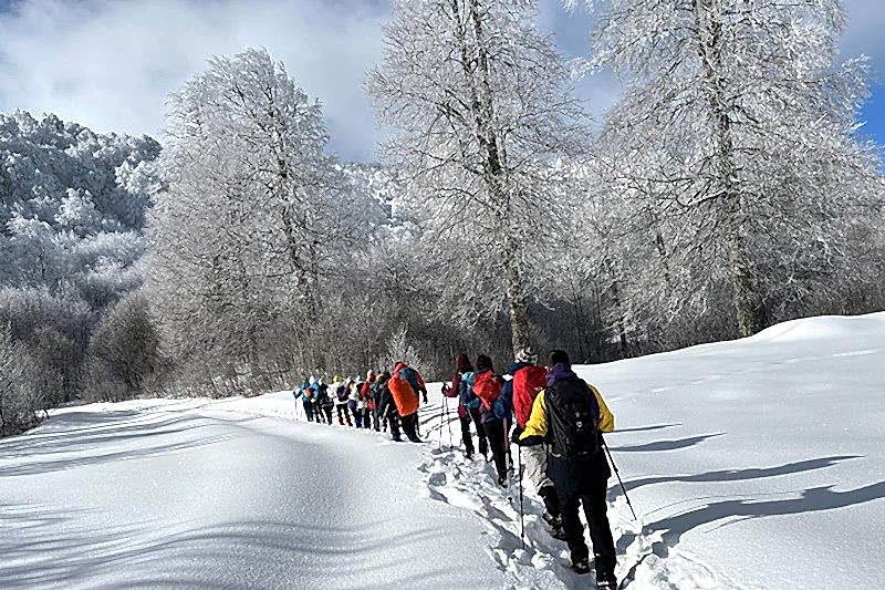 KARTEPE ZİRVE VE KUZU YAYLA DOĞA YÜRÜYÜŞÜ