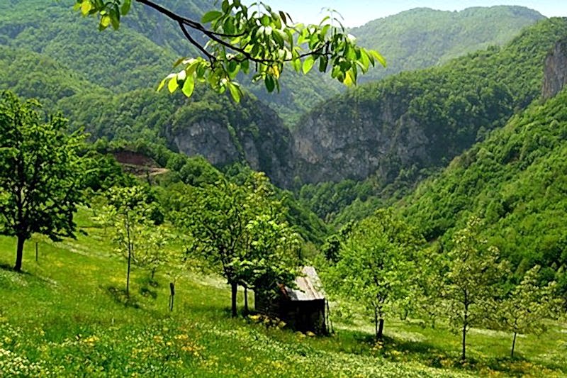MENEKŞE YAYLASI DOĞA YÜRÜYÜŞÜ