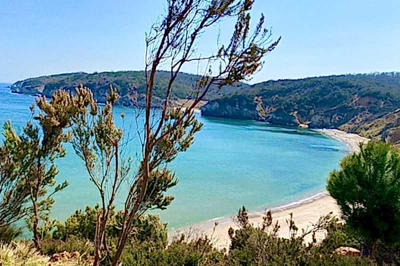 ZAMBAK YOLU KİLİMLİ–KADIRGA KOYLARI DOĞA YÜRÜYÜŞÜ