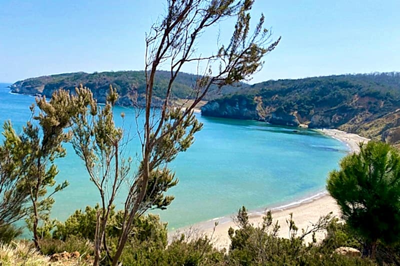 ZAMBAK YOLU KİLİMLİ–KADIRGA KOYLARI DOĞA YÜRÜYÜŞÜ